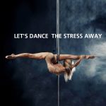 Buy Best 45mm Portable Stainless Steel Dance Pole Spinning Static Dancing Fitness