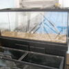 Online Sale: 62% OFF - 55-gallon GLASS Aquarium - Small Pet / Reptile / Fish Tank - Pro Grade