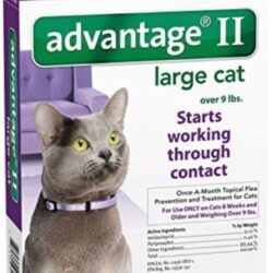 Online Sale: Advantage II for Large Cats over 9 lbs - 6 Pack - EPA Approved!!