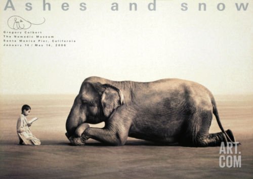 Buy Best Boy Reading with Elephant Collectable Poster Print by Gregory Colbert, 51x35...
