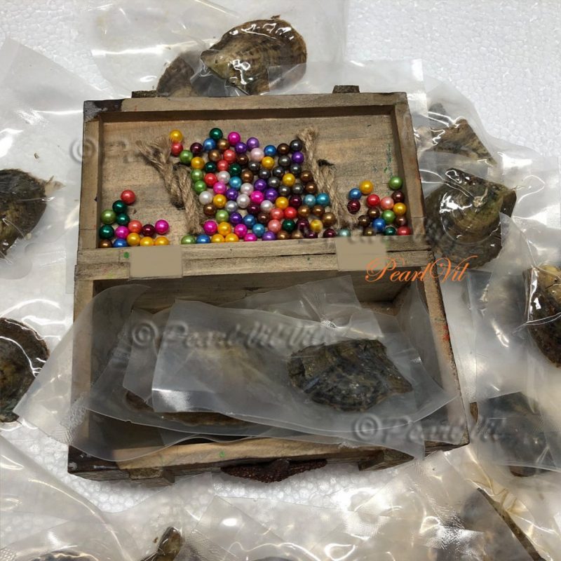 Online Sale: Bulk Akoya Oysters with 6-7mm Round Pearls - Located USA