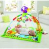 Online Sale: FISHER PRICE RAINFOREST MUSIC & LIGHTS DELUXE GYM NEW IN PACKAGE DFP08