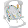 Online Sale: Fisher-Price Deluxe Take-Along Swing & Seat - Windmill