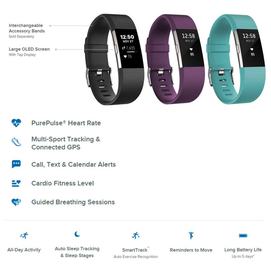 Buy Best Fitbit Charge 2 Heart rate + Fitness Wristband Large and Small Size
