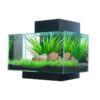 Buy Best Fluval 6 Gallon Edge Aquarium 21 LED, Black