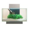 Buy Best Fluval 6 Gallon Edge Aquarium 21 LED, Silver