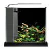Online Sale: Fluval Spec III Aquarium 2.6 gallon  black  Desktop Glass Aquarium