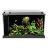Online Sale: Fluval Spec V Aquarium 5 gallon  black  Desktop Glass Aquarium