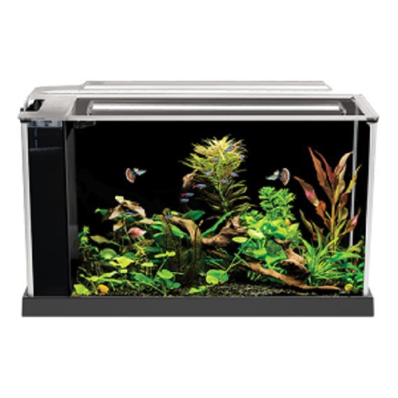 Buy Best Fluval Spec V Aquarium 5 gallon  black  Desktop Glass Aquarium