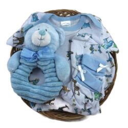 Buy Best Sunshine Gift Baskets - Baby Shower Gift Basket for a Boy. Includes a Bambini a