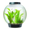 Online Sale: biOrb Classic 15 with LED Lights Aquarium - Black